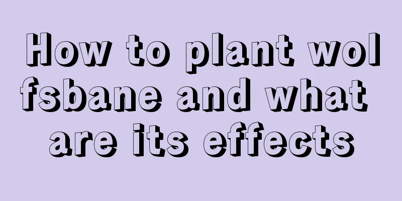 How to plant wolfsbane and what are its effects