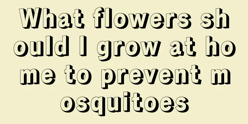What flowers should I grow at home to prevent mosquitoes