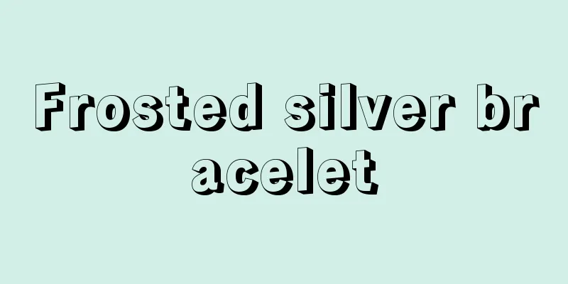 Frosted silver bracelet