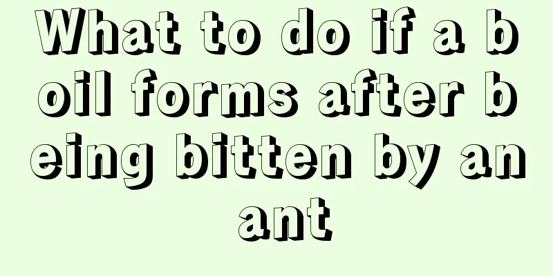 What to do if a boil forms after being bitten by an ant