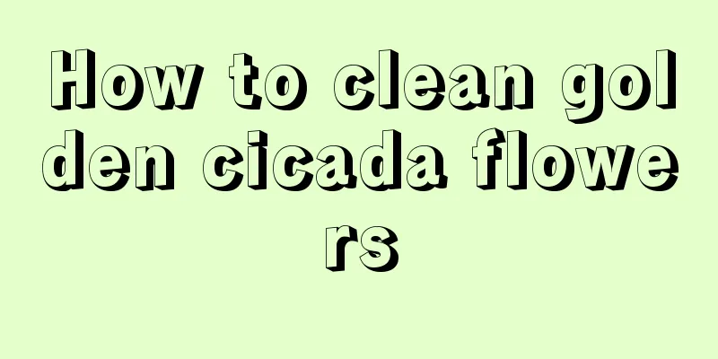 How to clean golden cicada flowers