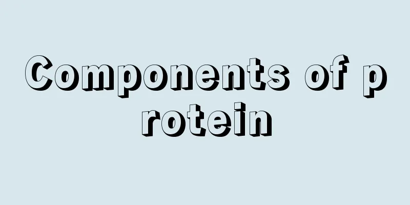Components of protein