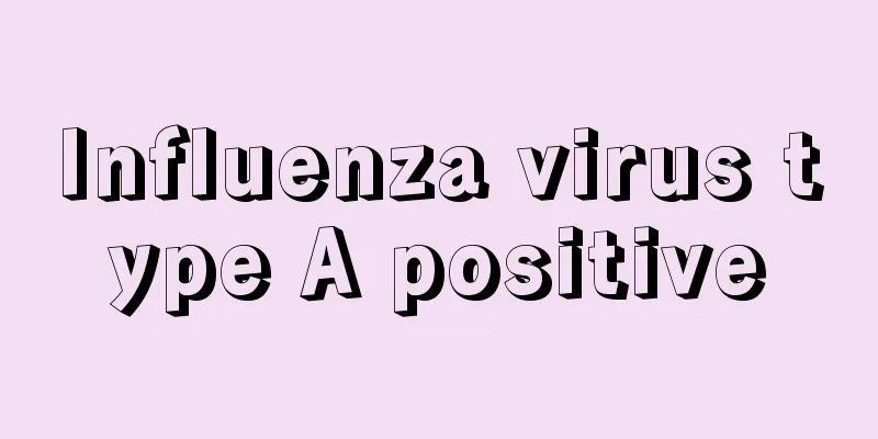 Influenza virus type A positive