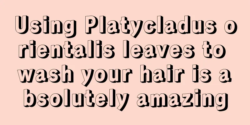 Using Platycladus orientalis leaves to wash your hair is absolutely amazing