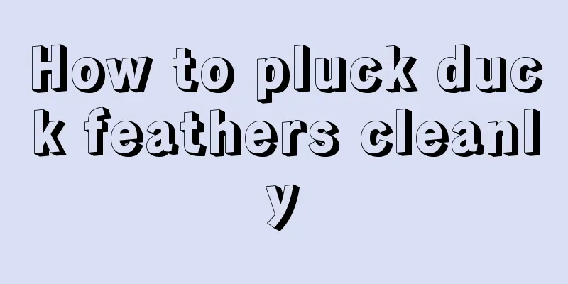 How to pluck duck feathers cleanly