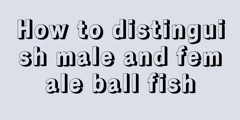 How to distinguish male and female ball fish