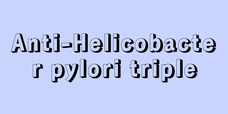 Anti-Helicobacter pylori triple
