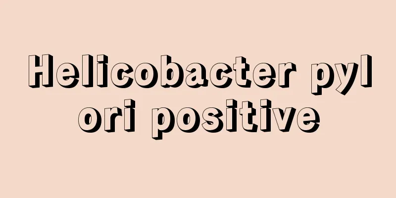 Helicobacter pylori positive