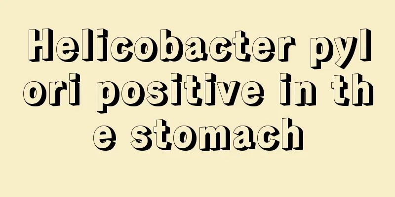 Helicobacter pylori positive in the stomach