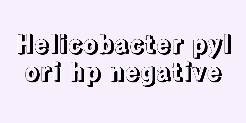 Helicobacter pylori hp negative
