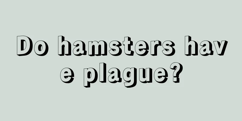 Do hamsters have plague?