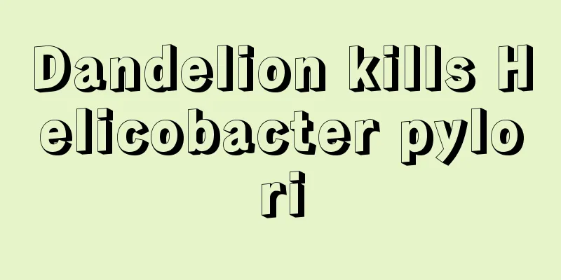 Dandelion kills Helicobacter pylori