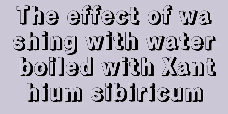 The effect of washing with water boiled with Xanthium sibiricum