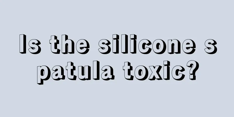 Is the silicone spatula toxic?