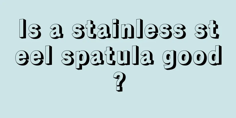 Is a stainless steel spatula good?