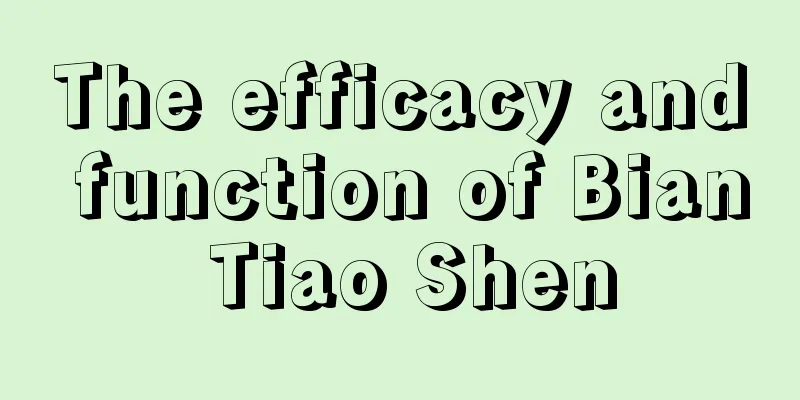 The efficacy and function of Bian Tiao Shen
