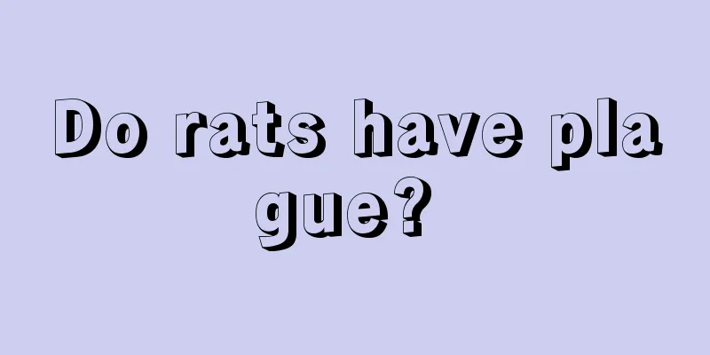 Do rats have plague? 