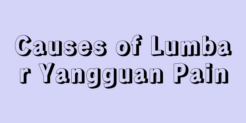 Causes of Lumbar Yangguan Pain