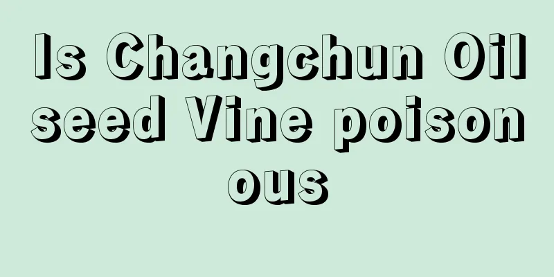 Is Changchun Oilseed Vine poisonous