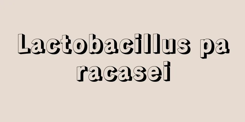 Lactobacillus paracasei