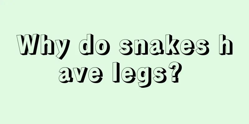 Why do snakes have legs? 