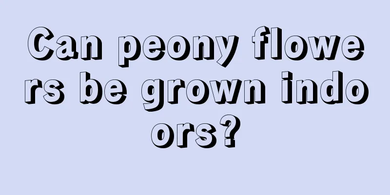 Can peony flowers be grown indoors?