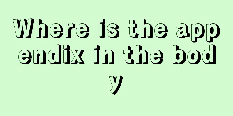 Where is the appendix in the body
