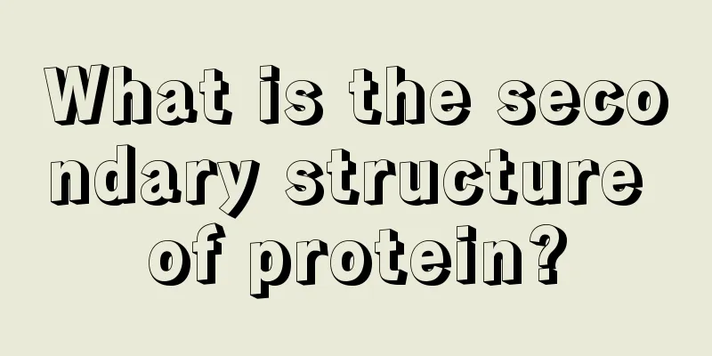 What is the secondary structure of protein?