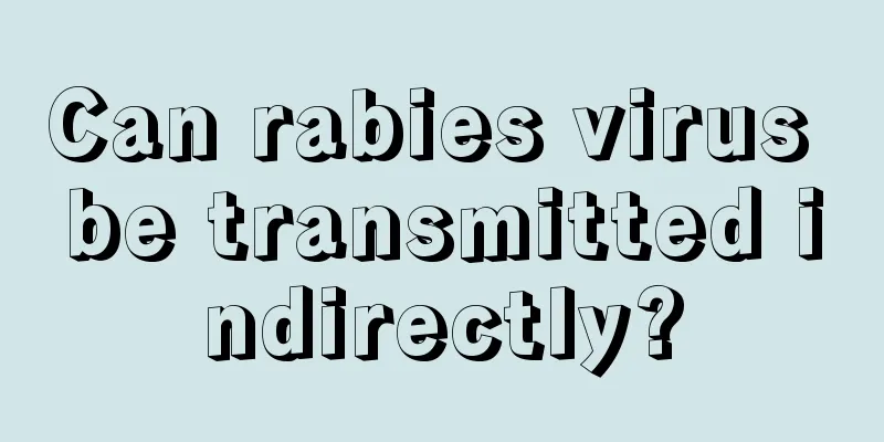 Can rabies virus be transmitted indirectly?
