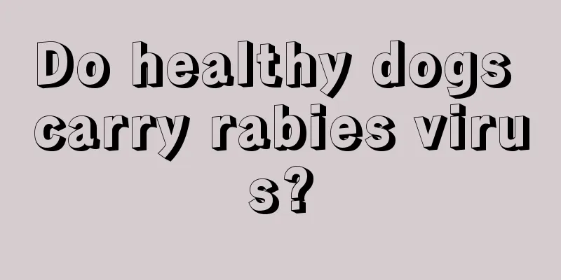 Do healthy dogs carry rabies virus?