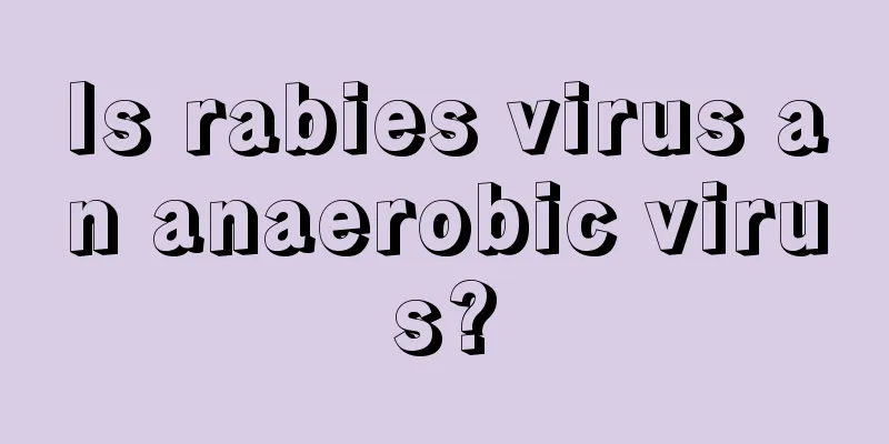 Is rabies virus an anaerobic virus?
