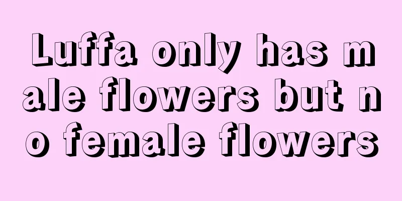 Luffa only has male flowers but no female flowers