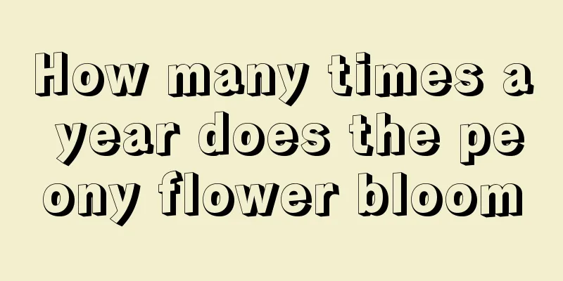 How many times a year does the peony flower bloom