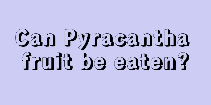 Can Pyracantha fruit be eaten?