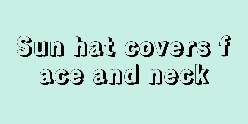 Sun hat covers face and neck