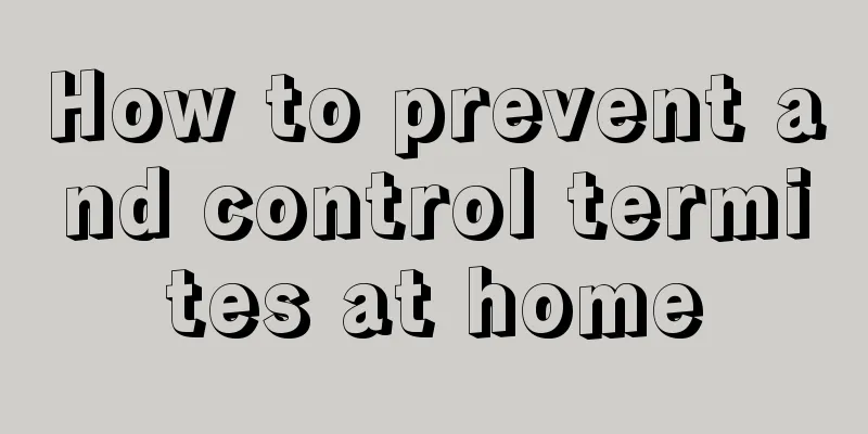 How to prevent and control termites at home