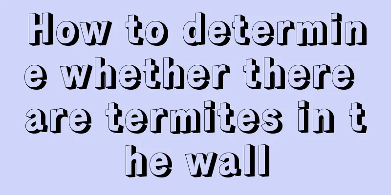 How to determine whether there are termites in the wall