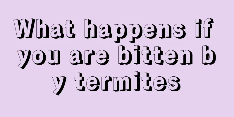 What happens if you are bitten by termites