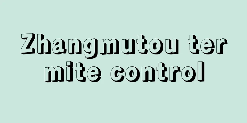 Zhangmutou termite control