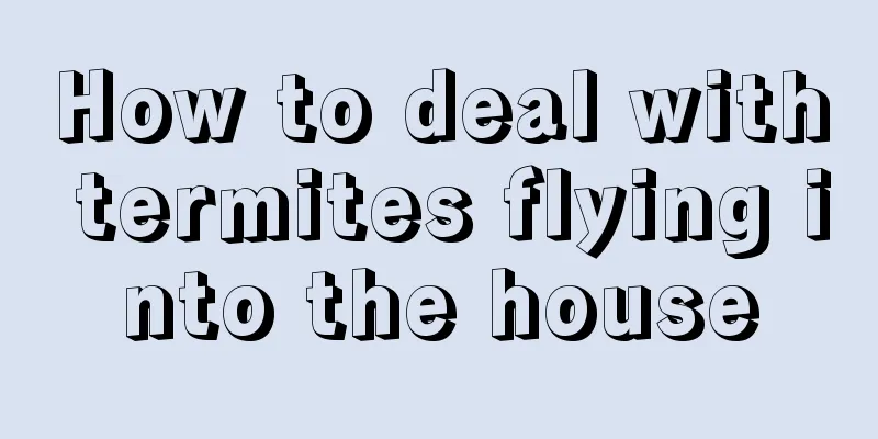 How to deal with termites flying into the house