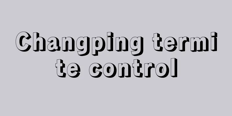 Changping termite control