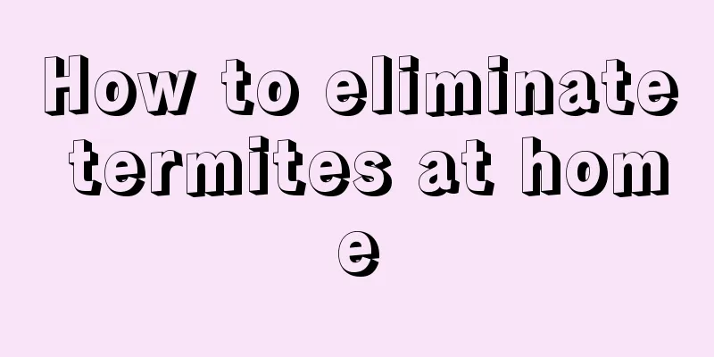 How to eliminate termites at home