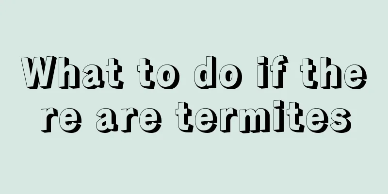 What to do if there are termites
