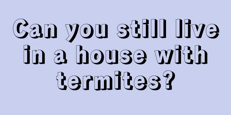 Can you still live in a house with termites?