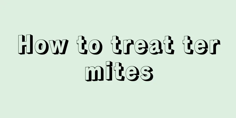How to treat termites
