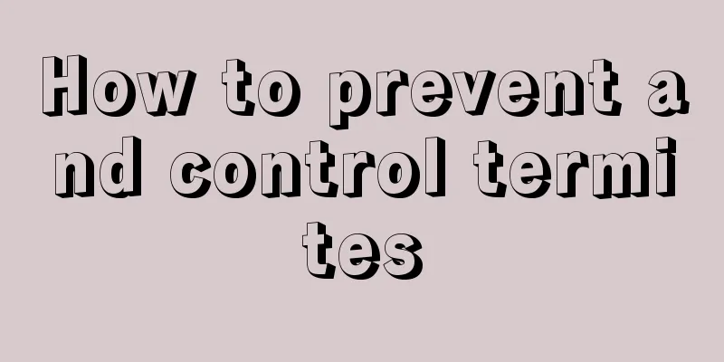 How to prevent and control termites