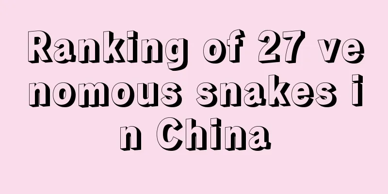 Ranking of 27 venomous snakes in China