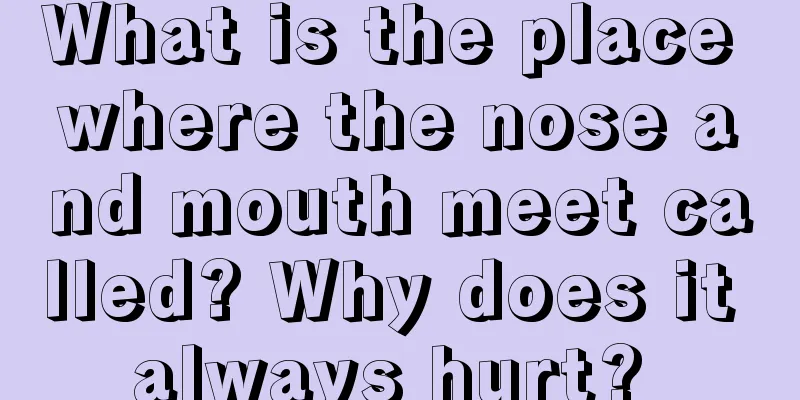 What is the place where the nose and mouth meet called? Why does it always hurt? 