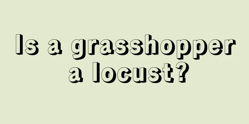 Is a grasshopper a locust?