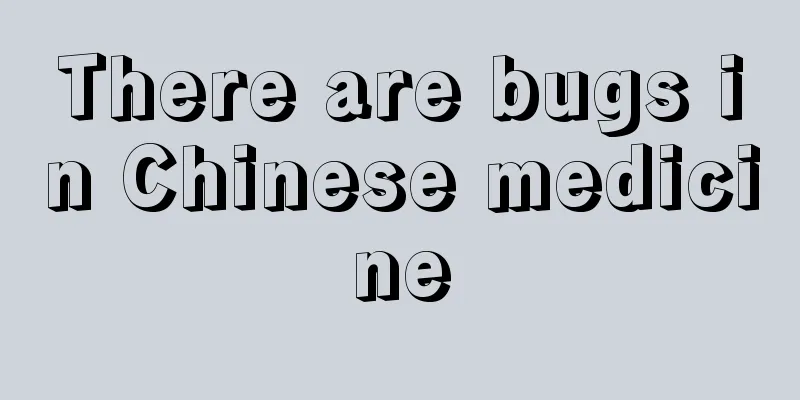 There are bugs in Chinese medicine